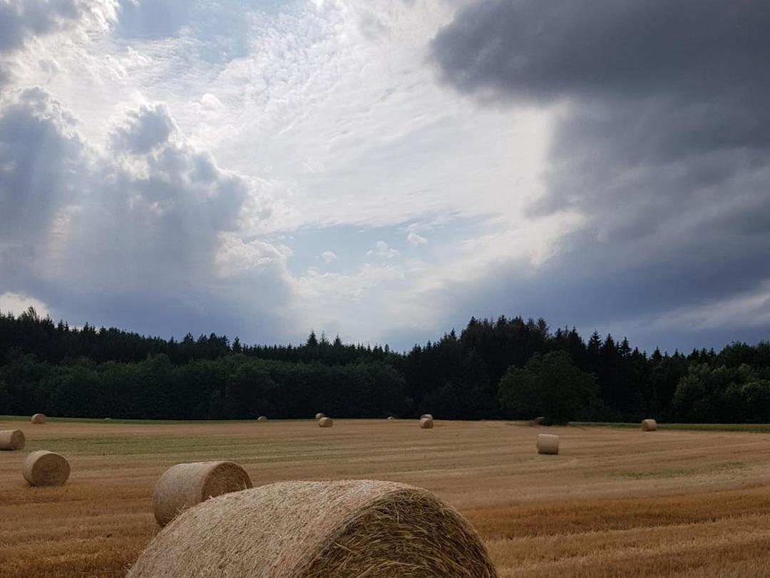 Ferienwohnung Am Geissberg Kleines Wiesental Buitenkant foto