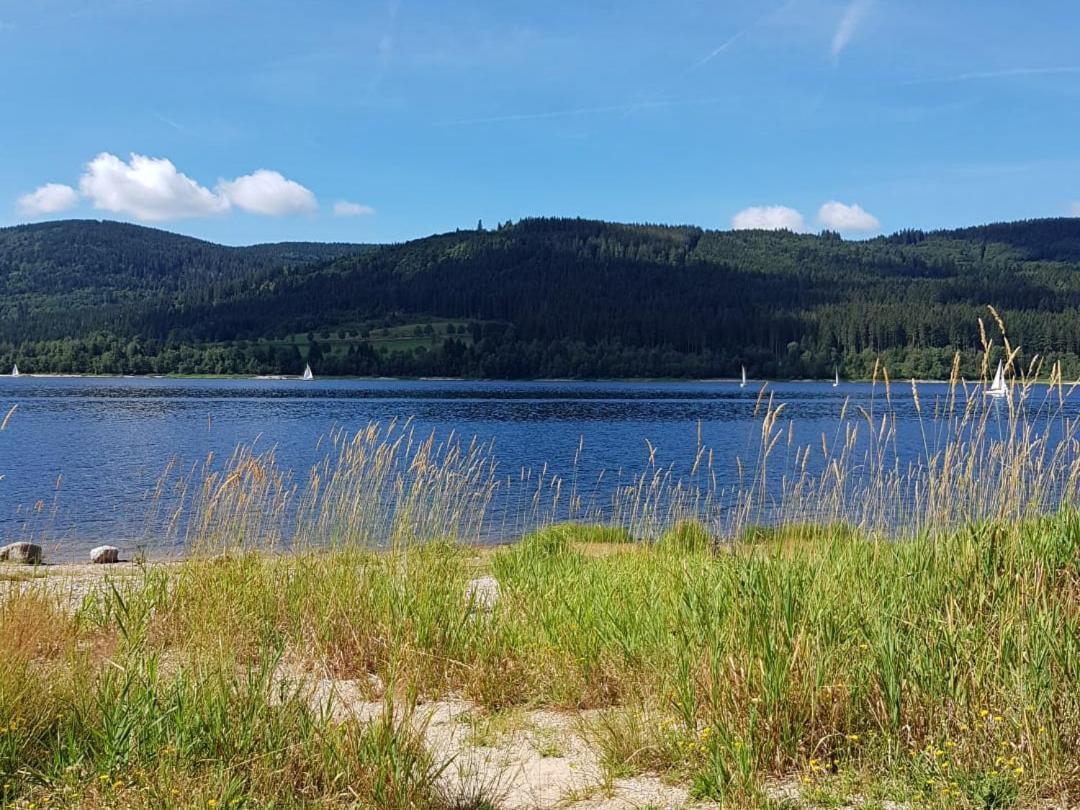 Ferienwohnung Am Geissberg Kleines Wiesental Buitenkant foto