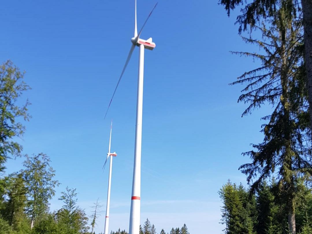 Ferienwohnung Am Geissberg Kleines Wiesental Buitenkant foto